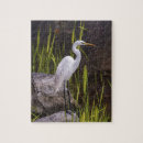 Recherche de herron Nature