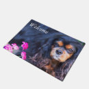 Recherche de chien rose photographie Animal de compagnie