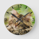 Zoek naar maine coon cats klokken Grappig