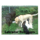 Recherche de labrador calendriers Nature