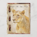 Recherche de lion femelle cartes postales Afrique