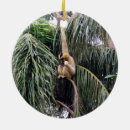 Recherche de primat ornements Faune
