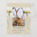 Recherche de marguerite sauvage cartes postales Marguerites blanches