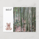 Recherche de bambou cartes postales Forêt de bambou
