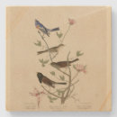 Recherche de moineau dessous de verres Illustration