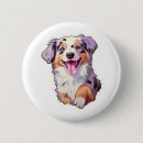 Recherche de berger australien badges Amoureux des chiens