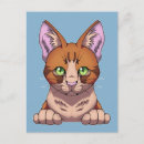 Recherche de carte chats cartes postales Tabby