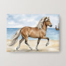 Zoek naar paarden buttons Pony