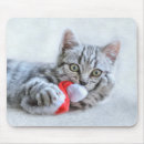 Recherche de patte chat tapis souris Tabby