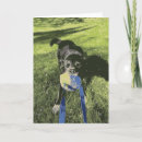 Recherche de dog Puppy