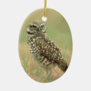 Recherche de creuser le hibou Hiboux