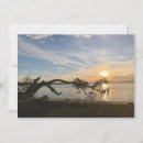Recherche de coucher du soleil correspondances cartes Lever
