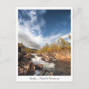 Recherche de bouleau photographie Automne