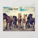 Recherche de beaux chevaux cartes postales Animal