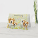 Zoek naar nieuwe hond kaarten Schattig