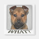 Recherche de photoart Mignon