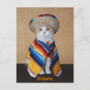 Recherche de sombrero cartes postales Drôle