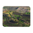 Recherche de riz magnets Paysage