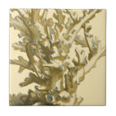 Recherche de récif carreaux Récif de corail