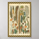 Recherche de paon vintage posters Plumes