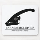 Recherche de fossile tapis souris Dinosaures