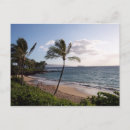 Zoek naar maui briefkaarten Palm