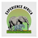 Recherche de éléphant africain posters Nature