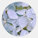 Recherche de jennifer autocollants Floral
