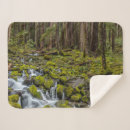 Zoek naar mos dekens Bos