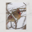 Zoek naar mannen briefkaarten Dieren