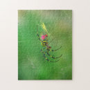 Recherche de spider puzzles Insect