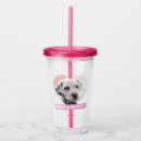 Recherche de nez de coeur Dalmatien