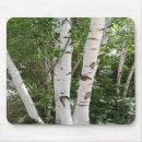 Recherche de bouleaux tapis souris Arbres