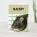 Zoek naar grappige ratten kaarten Schattige rat