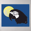 Recherche de ara posters Oiseau