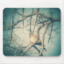 Recherche de doves tapis souris Oiseau