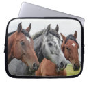 Recherche de arrières de cheval Chevaux