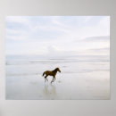 Zoek naar vrijheids posters Buiten