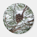 Recherche de cône de neige magnets Pour tous
