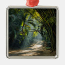 Recherche de aube ornements Tropical