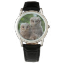 Recherche de hiboux montres Animal