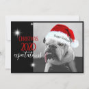 Zoek naar sarcastische kerstkaarten Sinterklaas