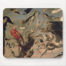 Recherche de variété tapis souris Abondance