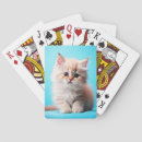 Recherche de chaton blanc jeux de cartes Mignon