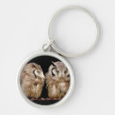 Recherche de jeune hibou Faune