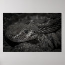 Zoek naar snake kunst Cool