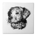 Recherche de canines carreaux Chiot
