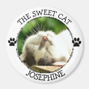 Recherche de sucrerie de chat Chien