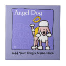Recherche de chien de caniche carreaux Chiens