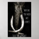 Recherche de éléphant africain posters Safari